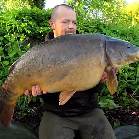 Beech 5 Hot Tub York